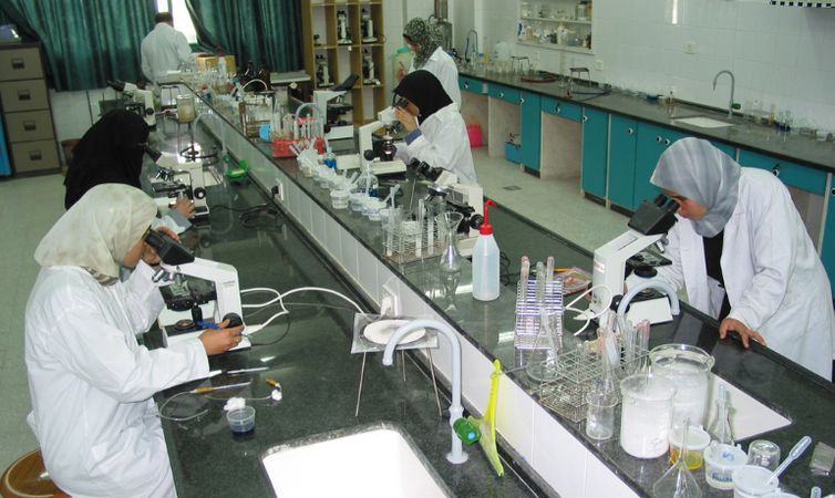 Laboratório da Universidade Islâmica de Gaza antes de bombardeios - Foto: Hala El-Khoondar/Arquivo pessoal