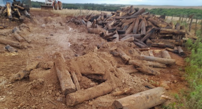 Bombeiros realizam combate de incêndio em depósito de lenha