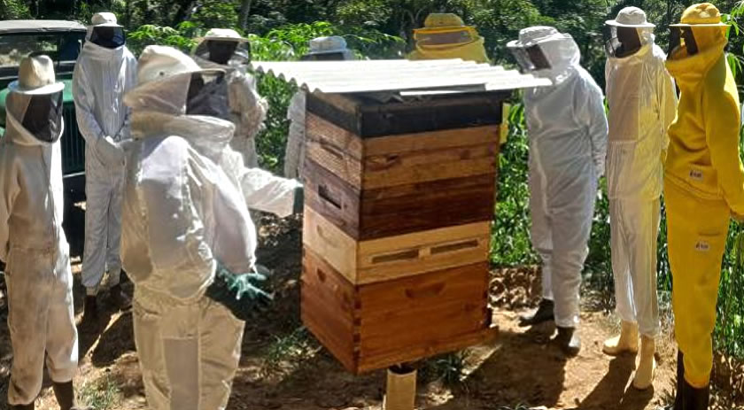 SAPE e Epagri investem na qualificação da apicultura catarinense