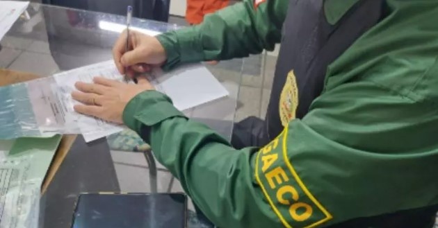 Operação internacional contra a pirataria cumpre mandados em SC e outros 9 estados