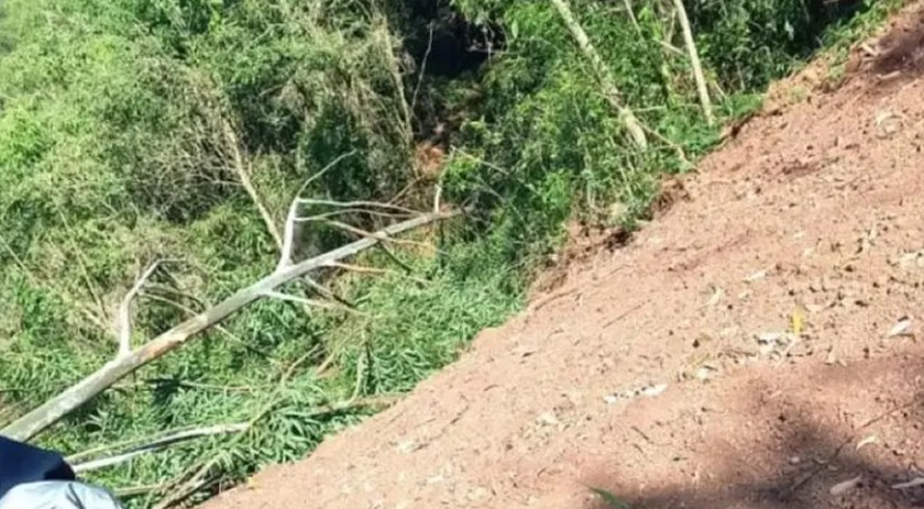 Homem morre ao ser atingido por árvore no interior