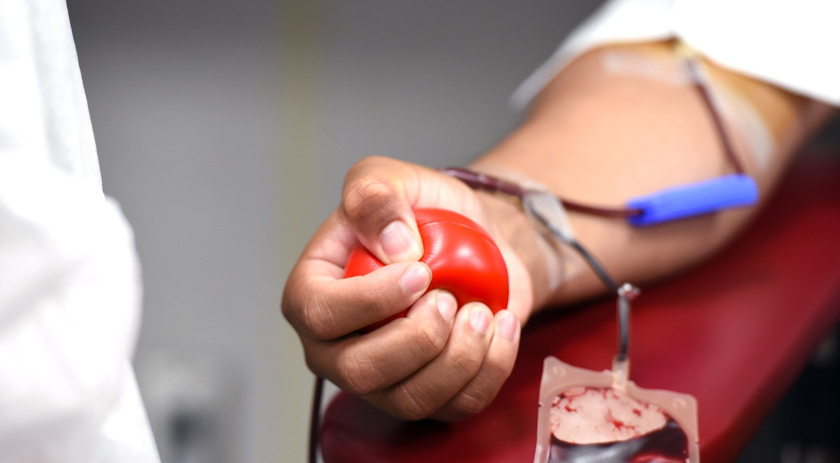 Uma hora para salvar até quatro vidas. Saiba algumas curiosidades sobre a doação de sangue
