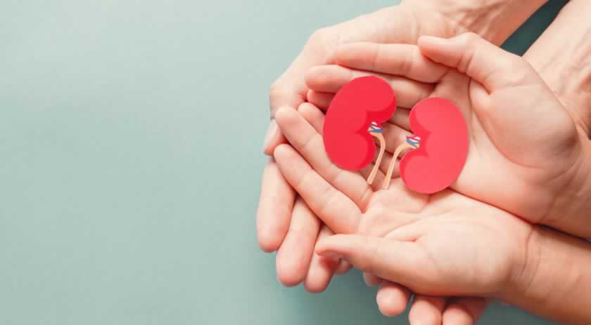 Dia Mundial do Rim: veja 7 sinais que indicam que você pode estar com problema renal