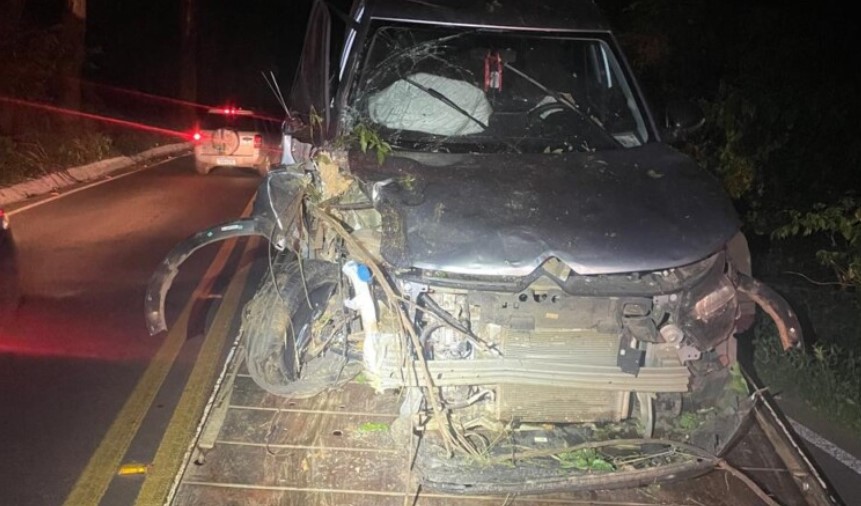 Idoso fica ferido após colisão com árvore no Oeste de SC