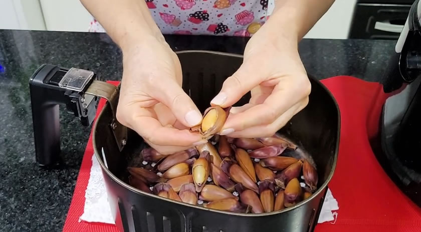 Dete ensina a preparar pinhão na Air Fryer