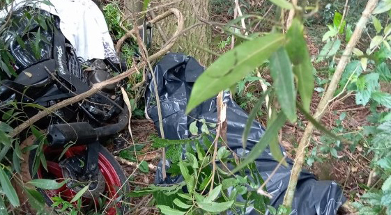 Motociclista morre após sair da pista e colidir contra árvores