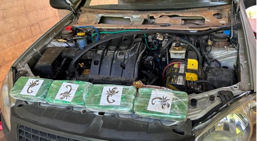 PRF localiza cocaína escondida em picape clonada na BR-282 em Chapecó