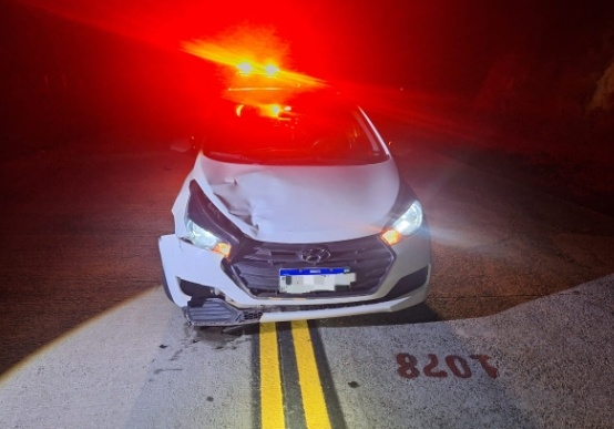 Carro sofre danos ao atropelar bovino em rodovia no Oeste