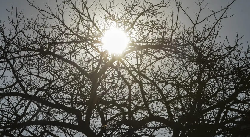 Frio e chuva têm data para terminar em Santa Catarina; veja previsão