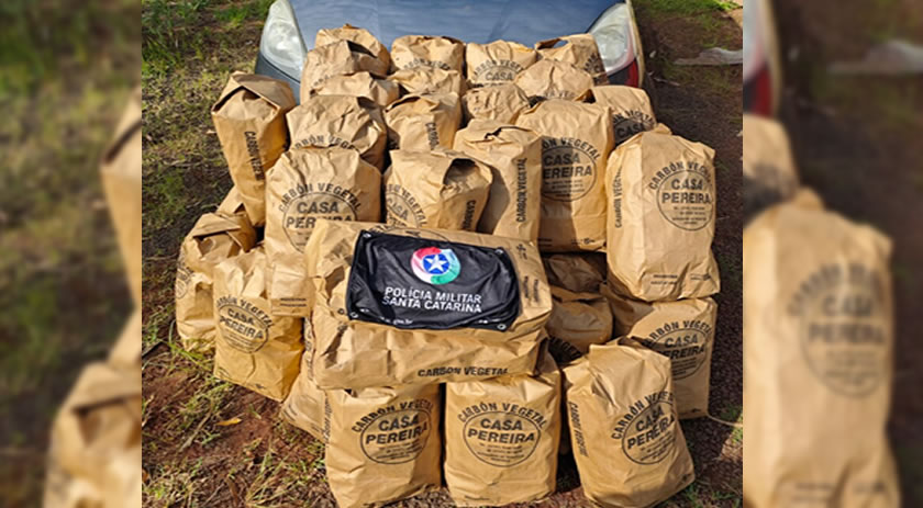 Mulher é flagrada com sacos de carvão da Argentina