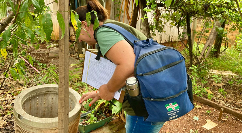 Secretaria da Saúde reforça medidas para diagnóstico de Dengue e Covid-19
