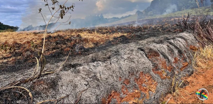 Incêndio atinge área de vegetação e eucaliptos no interior