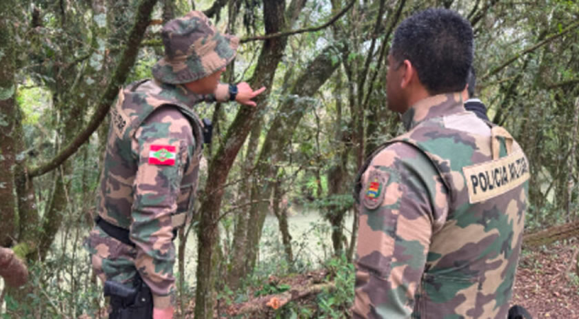 Operação em SC e outros 16 estados identifica 17 mil hectares de desmatamento ilegal