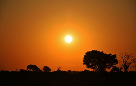 SC tem tempo firme e temperaturas próximas de 30ºC