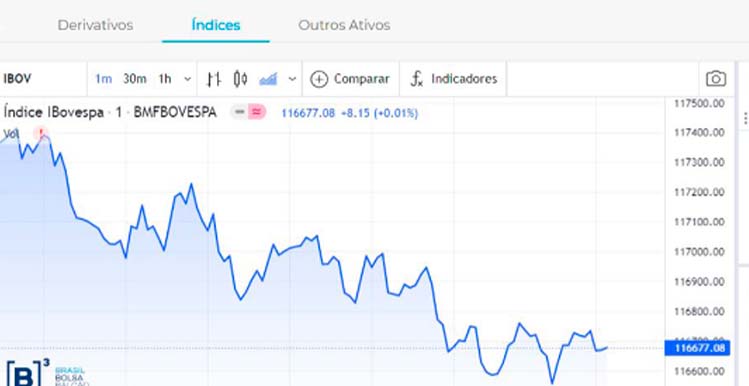 Ibovespa tem pior série desde 1970, com 12ª perda seguida