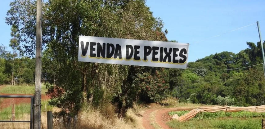 Venda de peixes para a Semana Santa já está em andamento