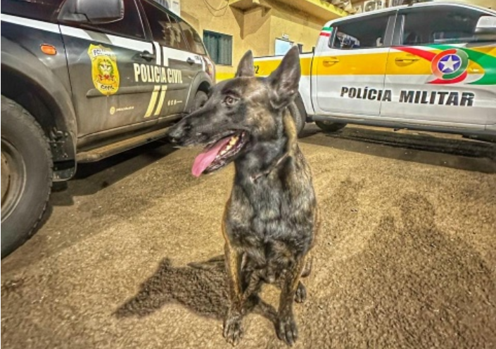 Em ação conjunta, foragido do Rio Grande do Sul é capturado em São Lourenço do Oeste