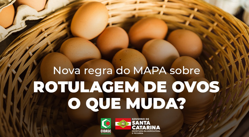 Cidasc esclarece nova portaria do Mapa sobre rotulagem de ovos