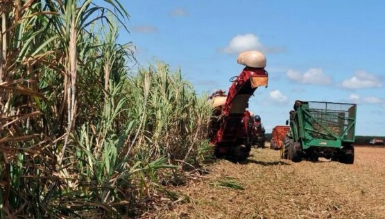 Valor da produção agropecuária alcança recorde de R$ 1,159 trilhão em 2023
