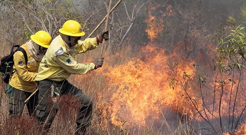 Bombeiros controlam incêndio de grandes proporções