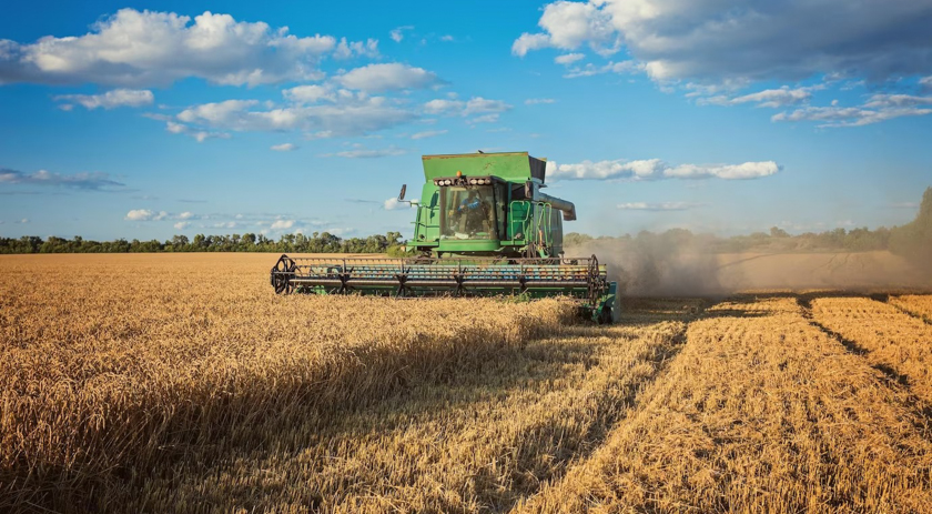 Entenda porque agricultores estão proibidos de plantar soja após 29 de dezembro em SC