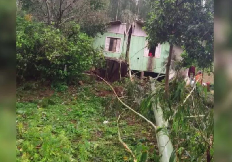 Chuva causa transtornos no Oeste de SC: destelhamentos, queda de árvores e morte de animais