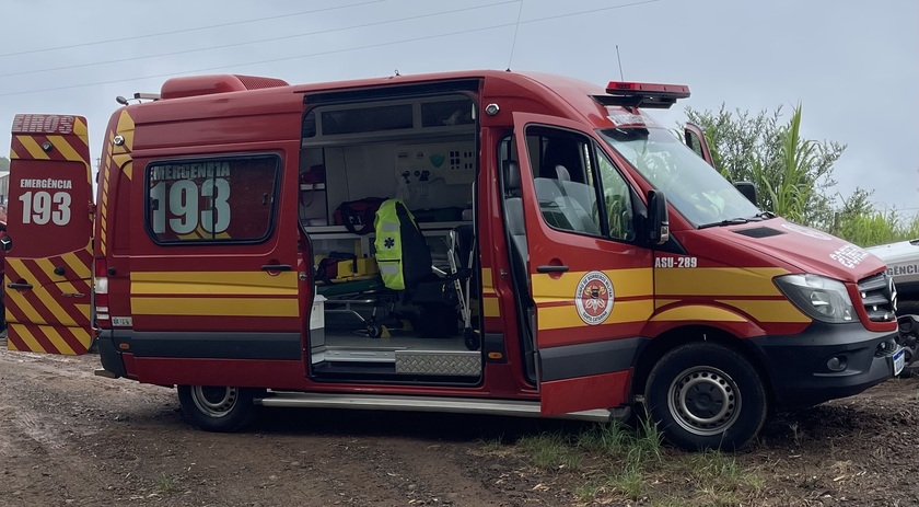 Mulher é atacada por abelhas no interior de São Miguel do Oeste