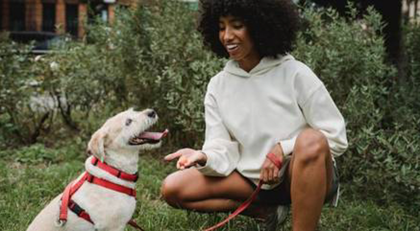 Licença PETernidade: entenda a iniciativa e saiba os benefícios