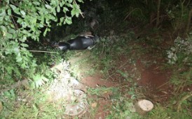 Homem de 22 anos perde a vida em acidente com motocicleta na SC-155