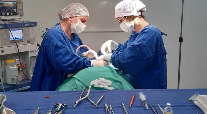 Saúde realiza procedimentos odontológicos para pessoas com deficiências