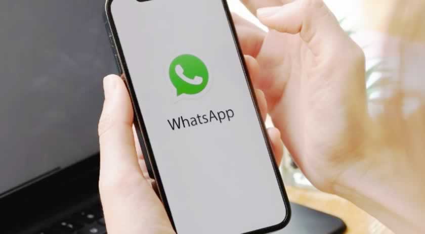 Celesc disponibiliza WhatsApp para clientes solicitarem serviços e informações