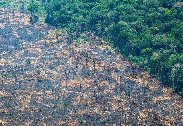 Estiagem leva situação de emergência a 15 cidades do Amazonas
