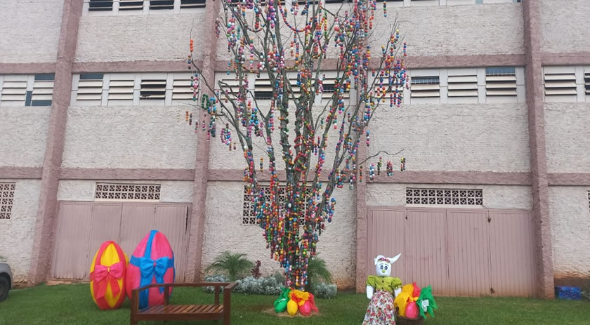 Projeto Magia da Páscoa terá segunda edição