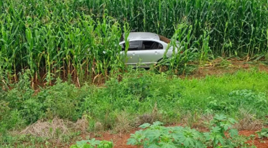 Motorista abandona carro com drogas em plantação de milho após perseguição na BR-282