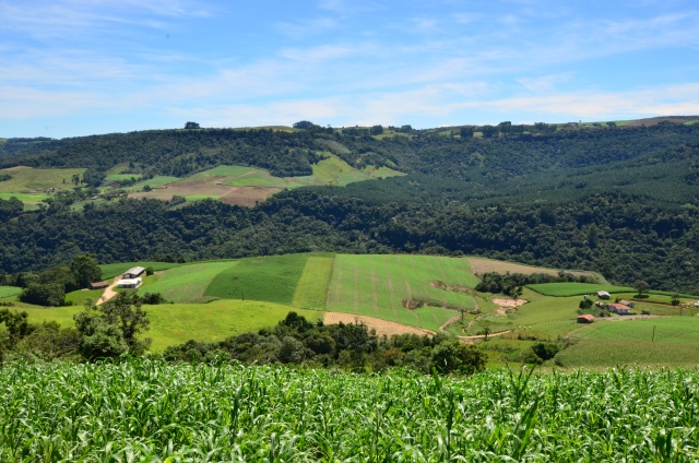 Programas de apoio direto ao produtor rural terão aumento de 28% em 2025