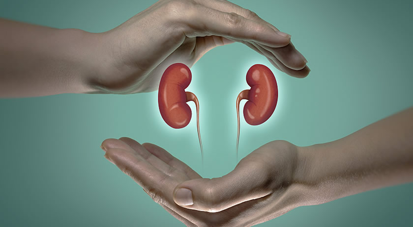 Santa Catarina tem aumento nos transplantes de rim