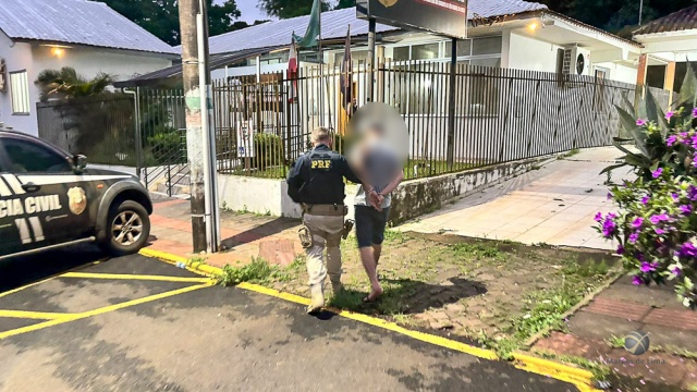 Cachorra de faro da PRF encontra drogas escondidas em veículo na BR-163