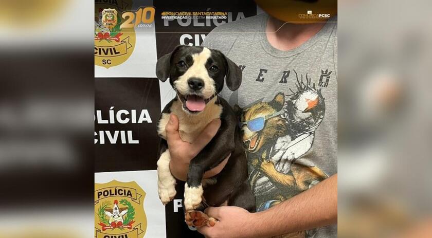Polícia Civil localiza cachorra que havia sido furtada