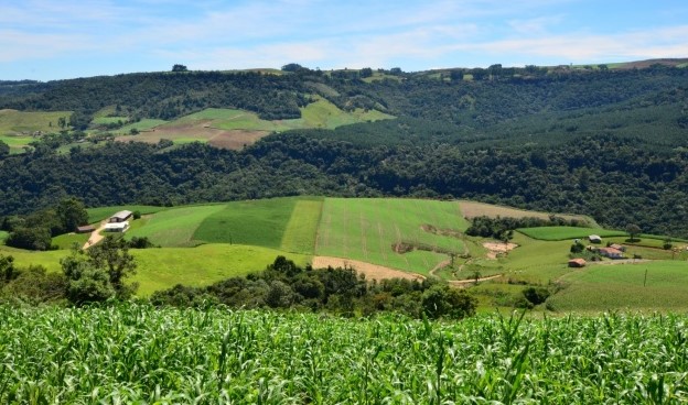 Agricultores e pescadores podem apresentar projetos para receber apoio do SC Rural 2