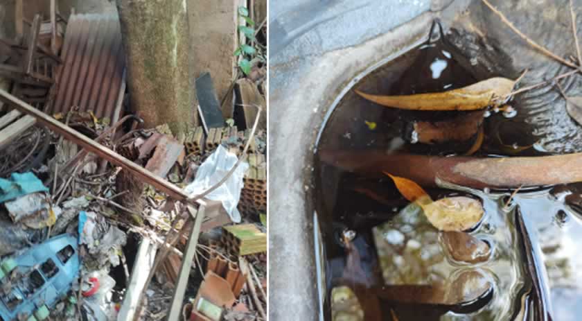 Secretaria de Saúde confirma circulação do sorotipo 2 da dengue no município