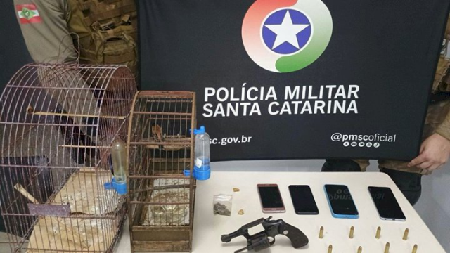 Drogas, arma de fogo e aves silvestres são apreendidas em residência no Oeste do estado