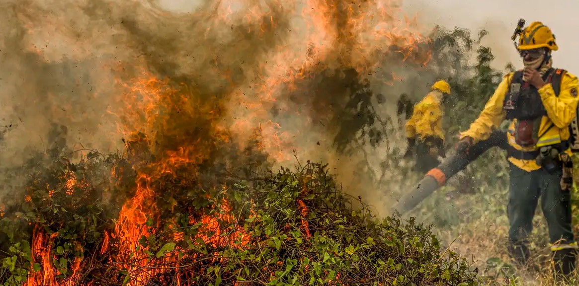 Fogo já consumiu 1,3 milhão de hectares e volta a aumentar no Pantanal