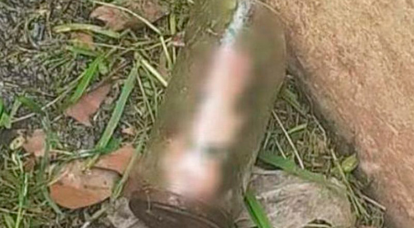 Homem descobre pênis decepado dentro de pote no jardim da casa da mãe