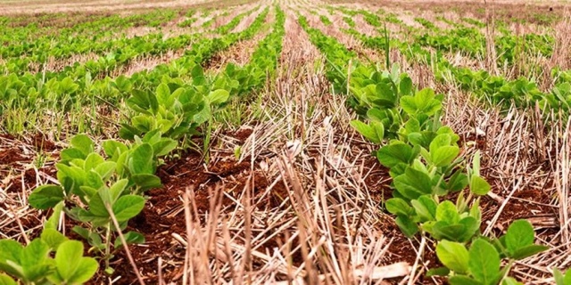 BNDES anuncia R$ 3 bilhões para o Plano Safra