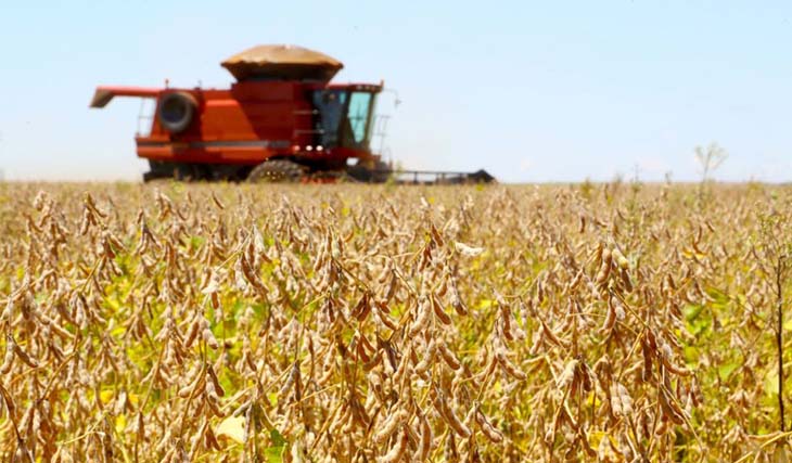 Brasil tem safra recorde e fatura R$ 1,13 trilhão em 2023