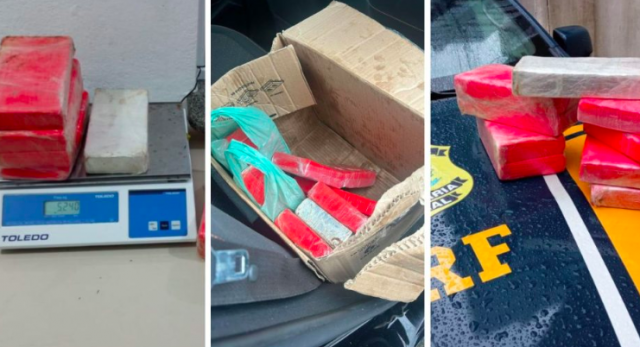 Ousadia de motorista chama atenção da PRF e carga milionária de cocaína é apreendida em SC