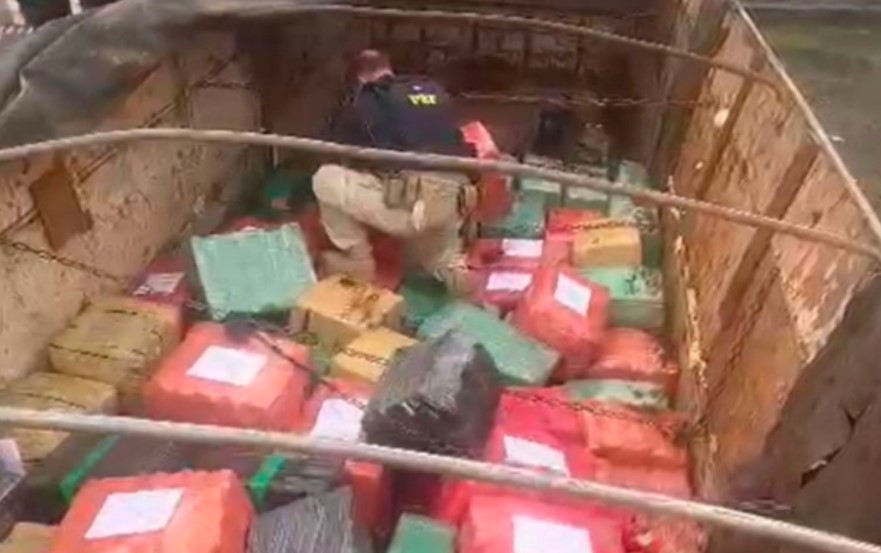 Maior apreensão de maconha do ano em SC rende prejuízo milionário para o crime organizado