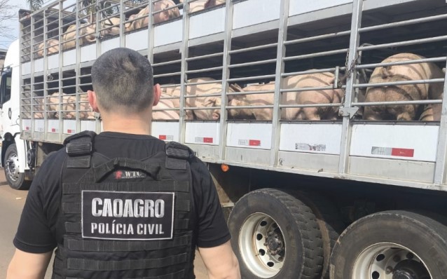 Operação fiscaliza transporte de animais e produtos agropecuários no Oeste de SC