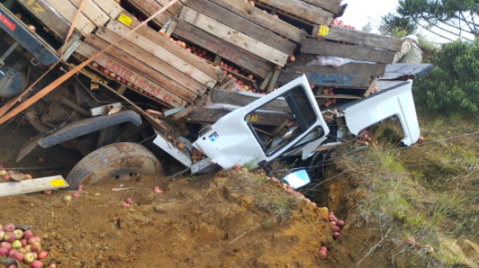 Caminhoneiro morre após veículo sair da pista e colidir contra barranco