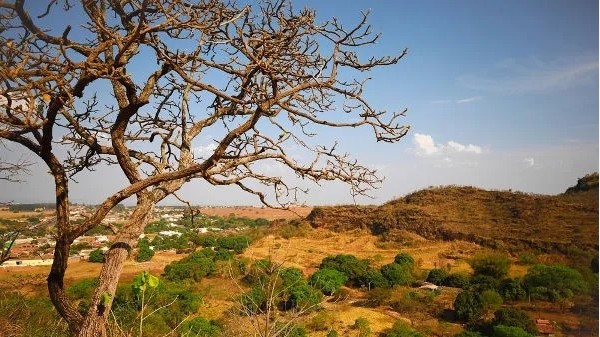 Congresso discute 25 projetos de lei e 3 PECs que flexibilizam regras ambientais